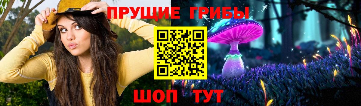 Галлюциногенные грибы MAGIC MUSHROOMS Отрадный