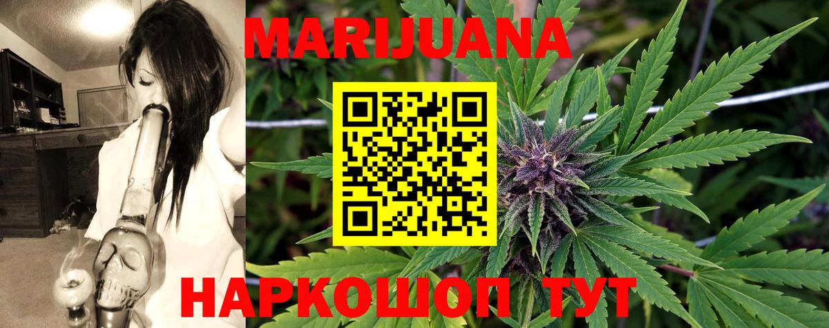 Конопля планчик Отрадный
